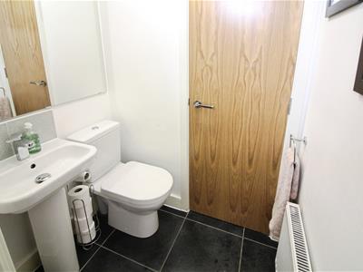 Picture 7